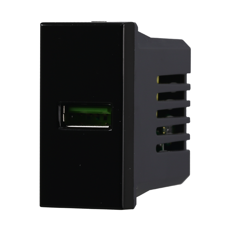 AN2401 — PRESA USB 2.1AMH