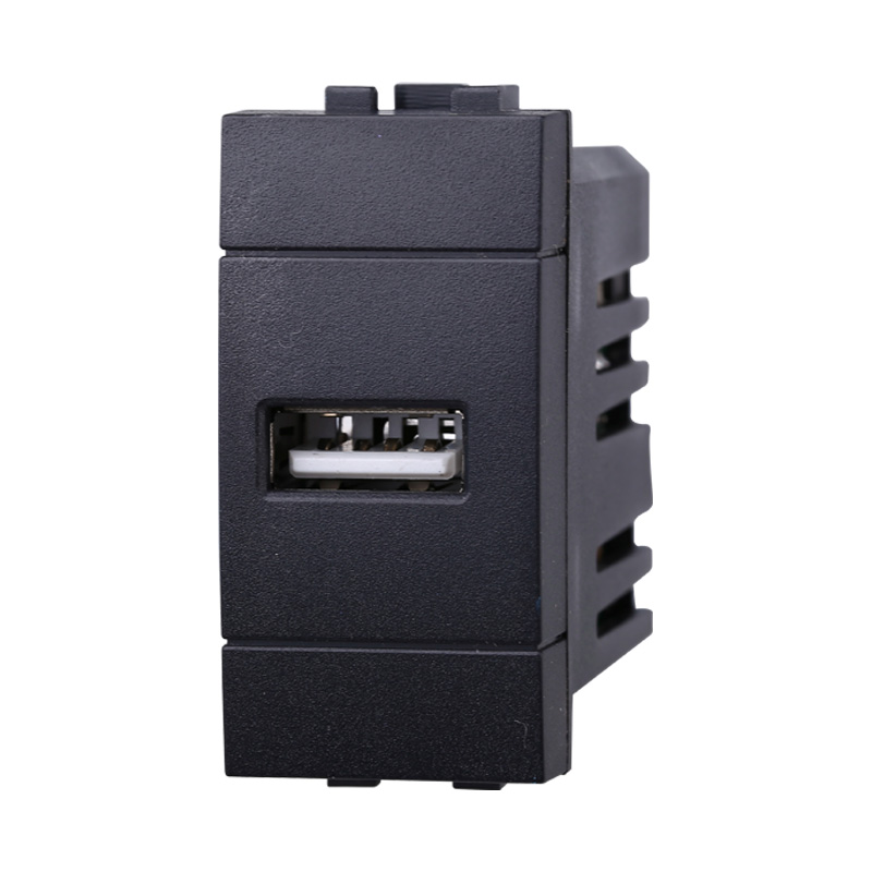 LN2401 — PRESA USB 2.1AMH
