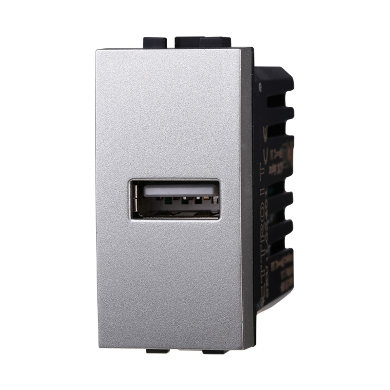 LG2401 — PRESA USB 2.1AMH