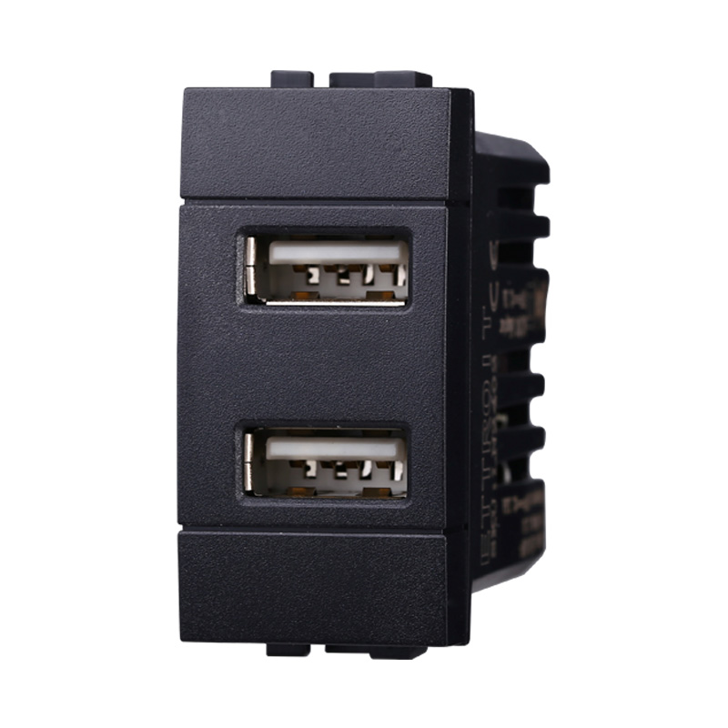 LN2402 — PRESA USB 2POSTI 2.1AMH