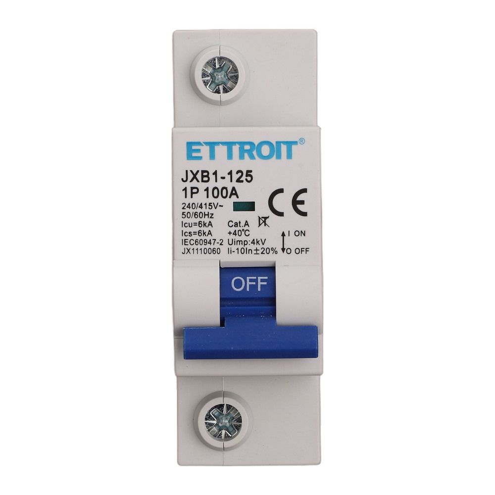 JX1110060 — Interruttore Magnetotermico 1P 100A 220V 6kA